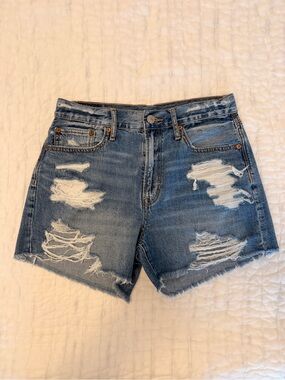 American Eagle Distressed Denim Shorts Size 2 Mid Rise Raw Hem Jean Shorts